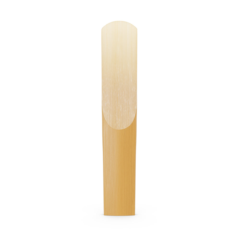 D’Addario Organic Reserve Evolution Bb Clarinet Reed - Single